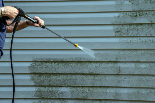 Best Affordable Power Washing  in Eveleth, MN