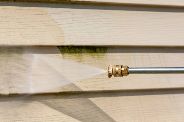 Best Deck Cleaning Services  in Eveleth, MN