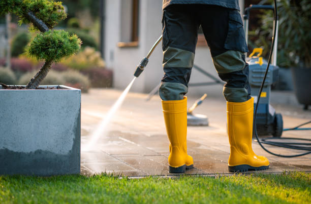 Best Roof Pressure Washing  in Eveleth, MN